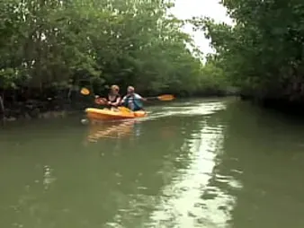 Kirra Lynne and Jt Jt get kinky with a rock hard-core pulverizing of their moist vaginas