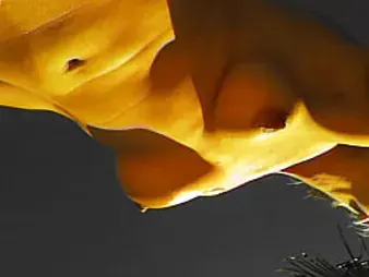 See Missy Jubilee get her youthfull clean-shaved beaver smashed rock-hard outdoors