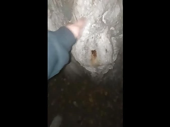 Peyton rudy indulges in public orgy with a glorious cunny in the woods
